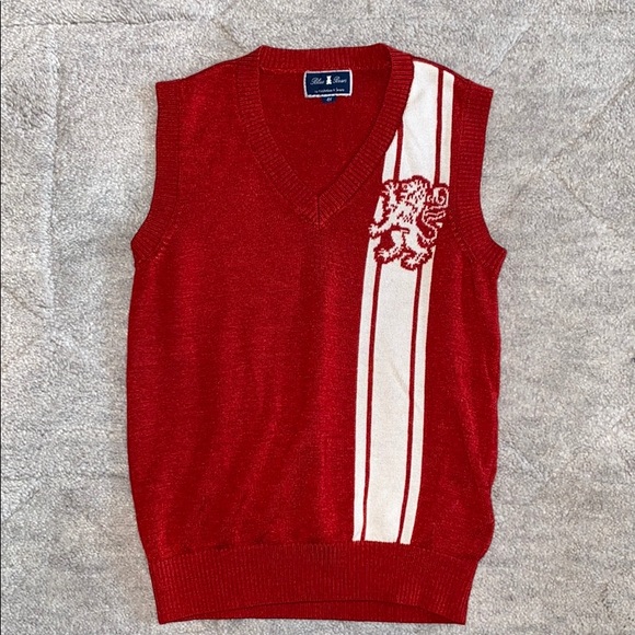 Blue Bears Preppy Vest - Picture 1 of 4